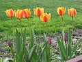 20040418_ 001